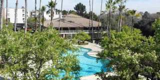 Large 1 Bedroom in Walnut Creek, Gym, Pool, Walk to Town Gallery 11