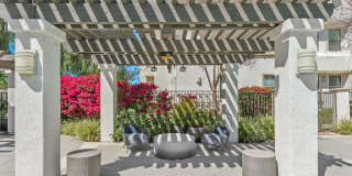Lasselle Place Gallery 16