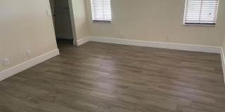 824 Savannah Falls Drive Gallery 10
