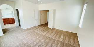 669 EMERALD IDOL Place Gallery 12