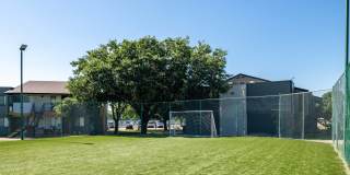 Fusion Fort Worth Gallery 30