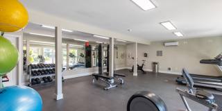 Alder Bellevue Gallery 15