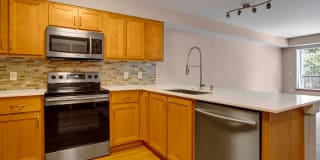 Echo Lake Gallery 20