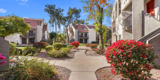 Waterford Place Gallery 15