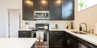 One41 Wellington Gallery 23