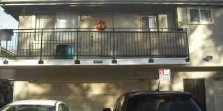 Popular Marina Village Penthouse Gallery 1