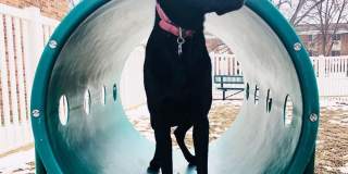 Broadway Apartments Gallery 4