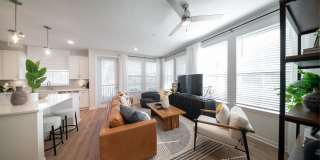 Alta Citron Gallery 54