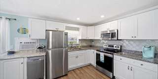 Dolphin Beach Gallery 10