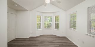 Forest View Gallery 8