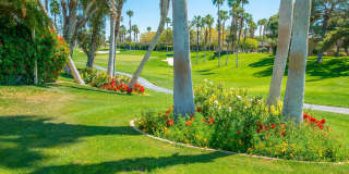 67553 N Portales Drive unit: 288 Gallery 26