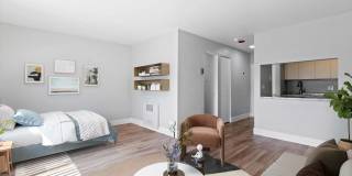 Bellaire Plaza Gallery 4