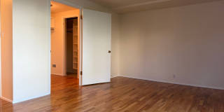 Park Manor Gallery 23