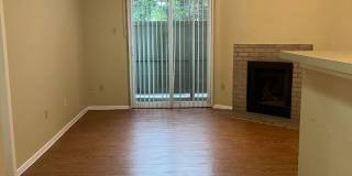 Hyde Park Oaks 106 - 1 Bed 1 Bath Gallery 5