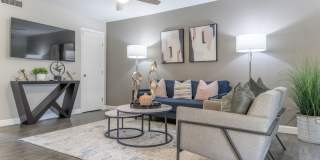 The Ashley Gallery 5