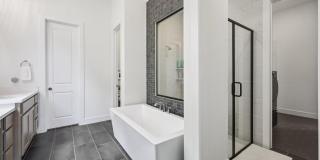 Beautiful 4 bedroom in desirable Prosper. Gallery 23