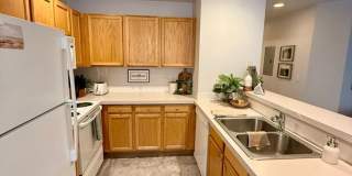 5225 White Willow Drive Gallery 7