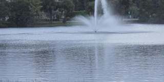 420 Celestial Way unit: 204 Gallery 32