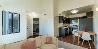 Metro Tucson Gallery 2