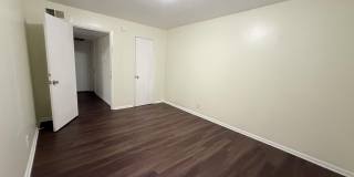 2316 BUCHANAN STREET Gallery 5