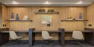 Vineyards Gallery 80