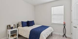 152 BRIGHT IBIS Avenue Gallery 14