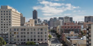 The Terraces Gallery 17