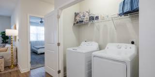 Madison Shores Gallery 4