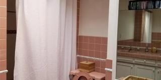 2164 Rosecrans Gallery 9