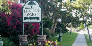 English Oaks Gallery 1