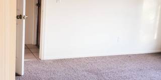*DO NOT DISTURB TENANTS- 4 bedroom 2 bath home w/POOL!! Gallery 16