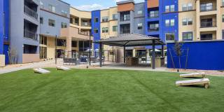 Alta Goodyear Gallery 21