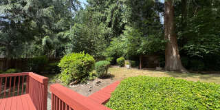 Tranquil 3 bedroom Rambler!!! Gallery 25
