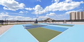 Altura Bayshore Gallery 62