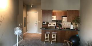 312 Wisconsin Street Gallery 16