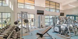 Windsor Ridge Gallery 48