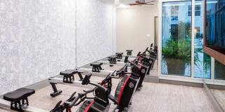 Park Central Gallery 24