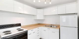 Twin Maples Gallery 16