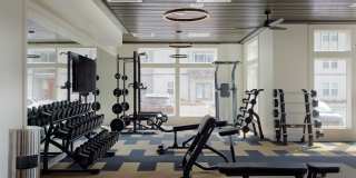 Livano Oakwood Gallery 3