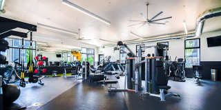 The Atlas Gallery 22