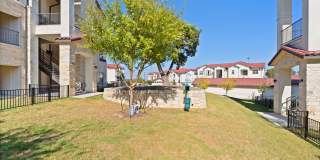 Water Oak Gallery 90