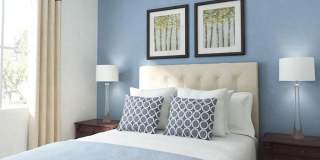 Museum Park Museum Park Gallery 4