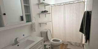 10137 Donhill Court Gallery 23