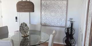 255 Dolphin Point Gallery 47