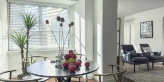 Rittenhouse Claridge Gallery 5