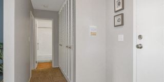ReNew Aurora Gallery 19