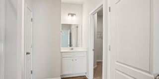 Poplin Trace Gallery 28