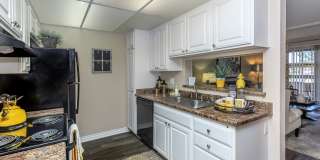 Raintree Apartment Homes Gallery 31