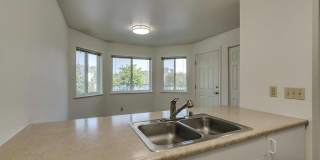 Trail Lodge Gallery 19