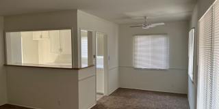 3 bedroom home in Lakewood now ready to rent! Gallery 12